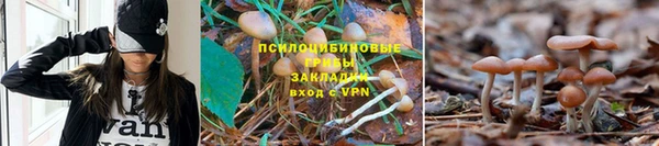 мяу мяу кристалл Абаза