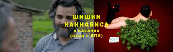 ПСИЛОЦИБИНОВЫЕ ГРИБЫ Переславль-Залесский