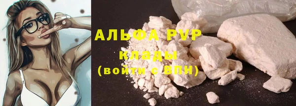ПСИЛОЦИБИНОВЫЕ ГРИБЫ Переславль-Залесский
